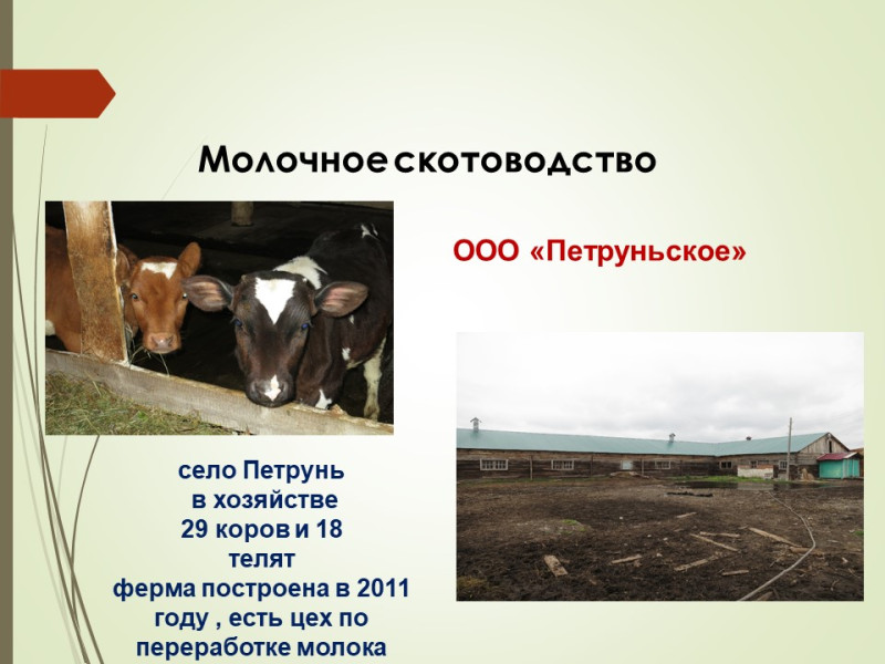 Представители отрасли сельского хозяйства г.Инты Республики Коми проводят профориентационные встречи..