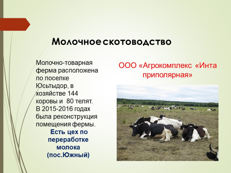 Представители отрасли сельского хозяйства г.Инты Республики Коми проводят профориентационные встречи..