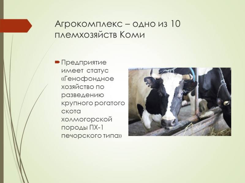Представители отрасли сельского хозяйства г.Инты Республики Коми проводят профориентационные встречи..